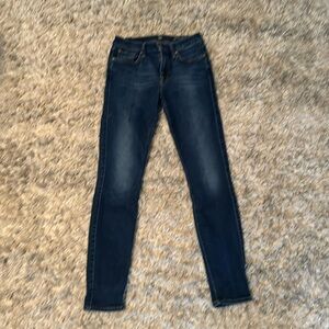 Seven for All Mankind Skinny Jean